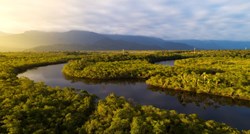 Amazonija u opasnosti, Brazil ograničava zaštitu međunarodnih organizacija